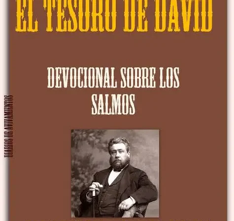 El Tesoro de David PDF